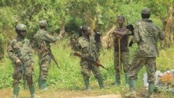 Sango ya Mokili Lelo: Ba ADF babomi boleka bato 14 na Mambasa (Ituri)