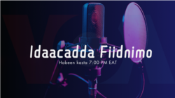 Idaacadda Fiidnimo