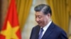 习近平越南行“意外”视频流出，网民调侃，官方急删