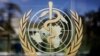 世卫组织：首起人类感染H5N2禽流感确诊病例并非因其而死亡