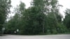 Ситуація на польсько-білоруському кордоні. Відео