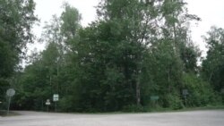 Ситуація на польсько-білоруському кордоні. Відео