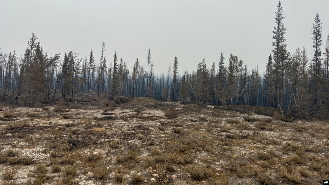 Damage from the wildfires is shown on Aug. 15, 2023, between Enterprise and Kakisa, Northwest Territories, Canada.