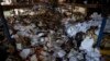 23 травня росіяни атакували Харків і сусіднє місто Люботин 15 ракетами. Одна з них поцілила по "Фактор-Друку", найбільшій друкарні в Україні та одній з найбільших у Європі.