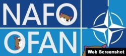 Північноатлантична організація Fella (NAFO) - це волонтерська глобальна онлайн-спільнота, яка підтримує Україну та бореться з російською пропагандою
