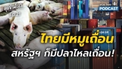 ที่ไทยมีหมูเถื่อน ที่สหรัฐฯ ก็มีปลาไหลเถื่อน (และอื่น ๆ) I คุยข้ามโลก EP 21