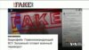 Бронежилети для вагітних, заборона зайця-русака та інше: фейки РФ про Україну. Відео