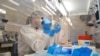 OMS pide más estudios de secuenciación genómica por variantes de coronavirus