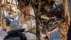 Фото: Пожежники працюють, після обстрілу дроном будівлі в Києві, 17 жовтня 2022 року