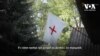 Американець прилетів у Київ допомагати рятувати поранених. Відео