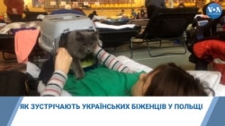 Як зустрічають українських біженців у Польщі.Відео