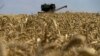 Фото 31 липня 2022 ркоу - збір врожаю поблизу Маріуполя