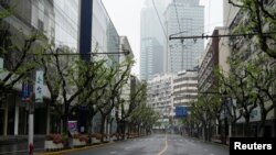 上海封城期间行道树已经长出绿叶。（2022年4月14日）