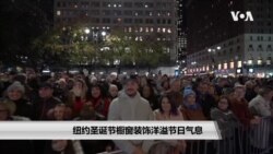 纽约圣诞节橱窗装饰洋溢节日气息