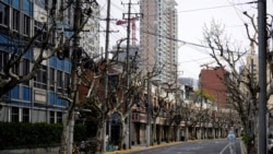 与北京角力 上海抗疫恐成“零容忍”政策破口？