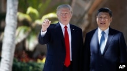 资料照片：特朗普在他的第一个总统任期期间与中国国家主席习近平在佛罗里达海湖庄园会晤。（2017年4月7日）