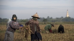 Interview with Dr. Than Myint Part-2