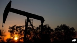 Venezuela es el quinto mayor productor mundial de crudo, y la caída de los precios del petróleo ha agudizado la crisis económica que vive el país. 
