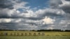 16x9 Image