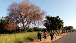 Crianças angolanas têm que estudar na RDC - 1:33