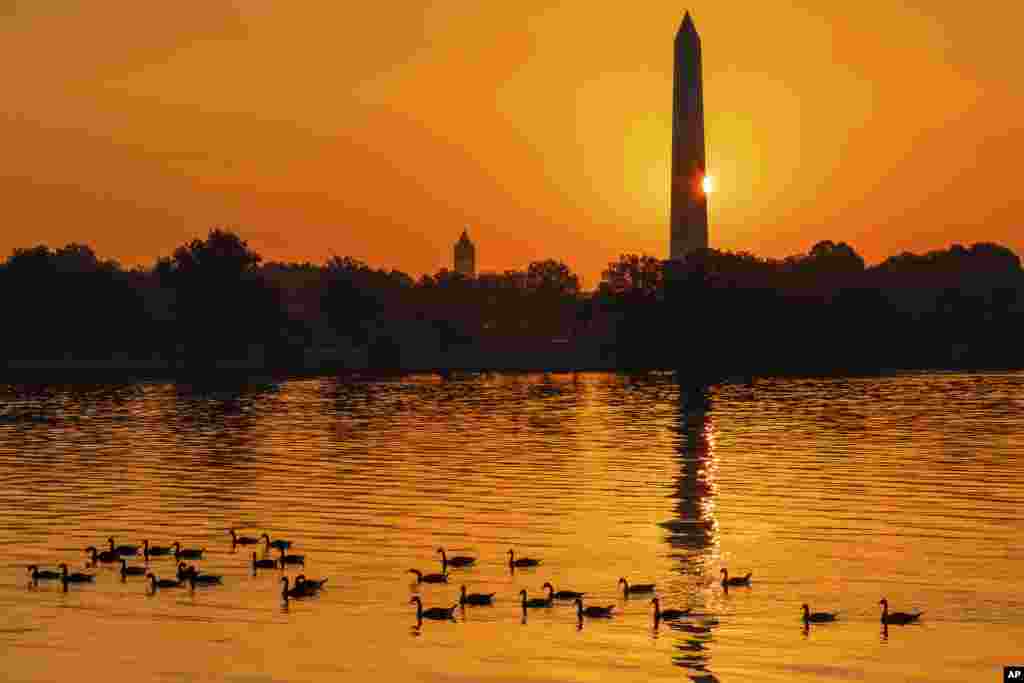 The sun peaks around the Washington Monument as geese float down the Potomac River at daybreak in Washington on what is expected to be another hot day in the Nation's Capital.