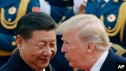 美国总统特朗普与中国主席习近平