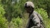 Was 2015 the Year of the US Military Woman?