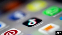 手机上的TikTok 应用程序。