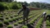 México: $11,7 millones para producción sustentable