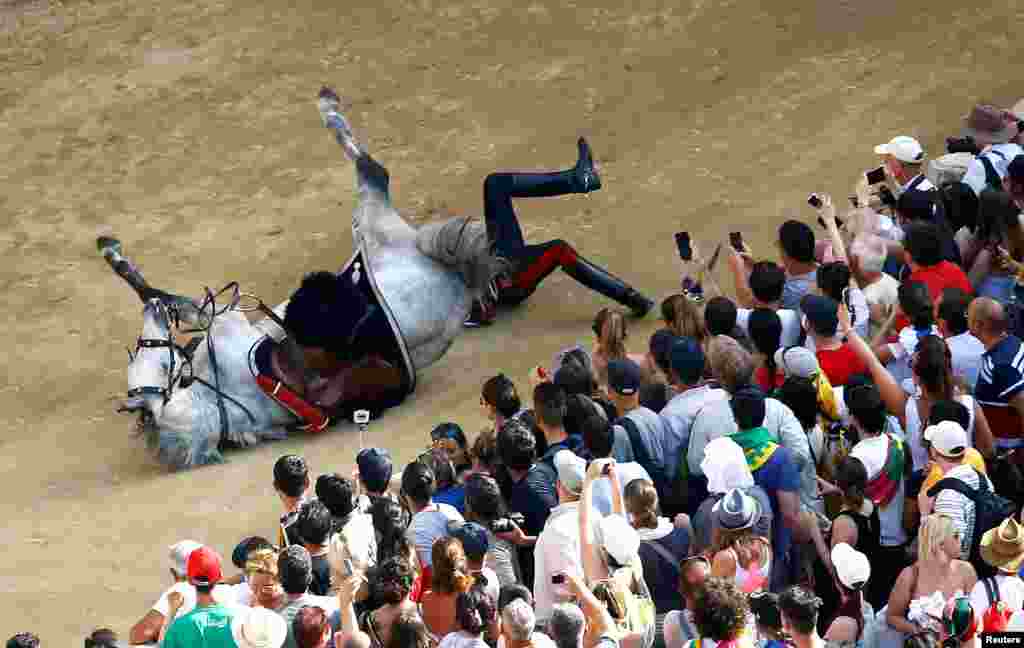 Italian Carabinieri police falls down from his horse during a parade prior the Palio of Siena horse race.