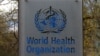 世卫总干事期待第二阶段新冠病毒溯源调查得到中国等国合作 