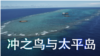 冲之岛与太平洋