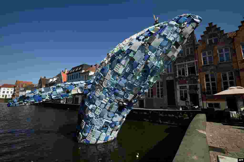 A 12-meter installation depicting a whale, made up of five tons of plastic waste pulled out of the Pacific Ocean, is displayed in Brugges, Belgium, July 14, 2018 for the 2018 Bruges Triennial.