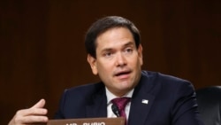 资料照片：共和党联邦参议员鲁比奥 (Sen. Marco Rubio, R-FL)。