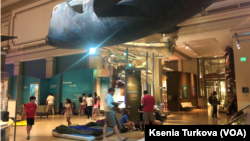 Night in museum