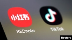 资料照片：手机上的小红书和TikTok应用。