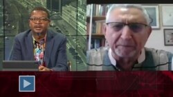 África Agora: "A ação dos movimentos nacionais nas colónias despoletou a revolução dos cravos"