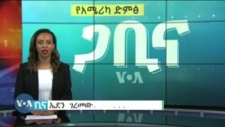 ጋቢና ቪኦኤ