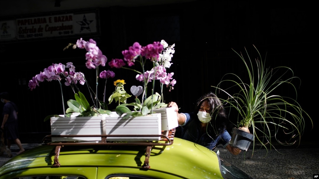 Roberta Machado arranges flowers on her 1969 VW beetle in Rio de Janeiro, Brazil, Oct. 21, 2020. After she saw her business of renting rooms for tourists dry up due to the pandemic, she converted her car into a mobile flower store.