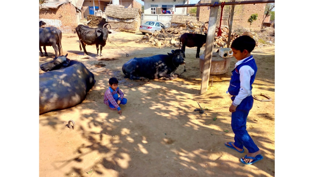 While girls are kept at home, boys are allowed to walk outside the village to attend middle and high school in patriarchal homes in Pipaka village. (Anjana Pasricha/VOA)