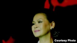 Như vậy chiến tranh chống Mỹ không phải, chiến tranh giải phóng miền Nam cũng không phải; chỉ còn một danh xưng cho cuộc chiến 1954-75 là “Nội chiến”, một danh xưng cấm kỵ đối với chế độ. (ảnh Bùi Văn Phú)