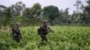 Policía antinarcóticos camina por un campo de coca en La Hormiga, Putumayo, Colombia, el sábado 9 de abril de 2022.
