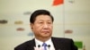 中国国家主席习近平 