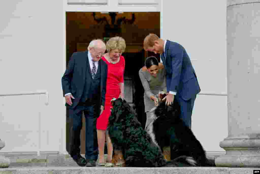 Britain's Prince Harry (R) and wife Meghan (2R), Duke and Duchess of Sussex greet the dogs of Ireland's President Michael Higgins and wife Sabina on arrival at the Presidential mansion on the second day of their visit in Dublin.