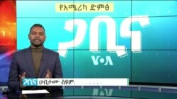 ጋቢና ቪኦኤ