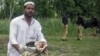 Death Toll in Pakistan Suicide Attack Rises to 45