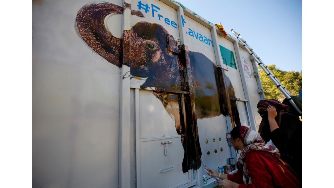 Volunteers paint an image of an elephant named "Kaavan" on a crate to be used to be transported Kaavan to a sanctuary in Cambodia, at the Maragzar Zoo in Islamabad, Pakistan, Nov. 27, 2020.