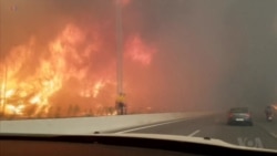 Heat Wave, Wildfires Sweep Over Europe