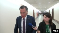 来自犹他州共和党籍参议员罗姆尼接受美国之音采访。（2019年6月5日）