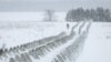 На фото - новозбудовані протитанкові укріплення "зуби дракона" у Чернігівській області. Такі ж укріплення з'являються на естонських приватних угіддях та у лісах державної власності, каже міністр оборони країни Мартін Герем. REUTERS/Gleb Garanich
